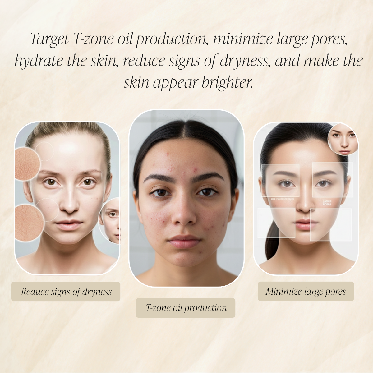 Professional Nano Facial Steamer