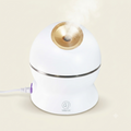 Professional Nano Facial Steamer