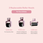 Radiant Renewal Trio