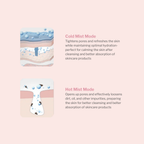 Professional Nano Facial Steamer