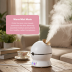 Professional Nano Facial Steamer