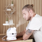 Professional Nano Facial Steamer
